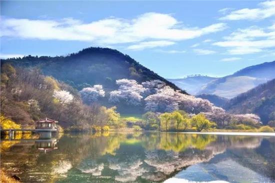 烟锁池塘柳,桃燃锦江堤